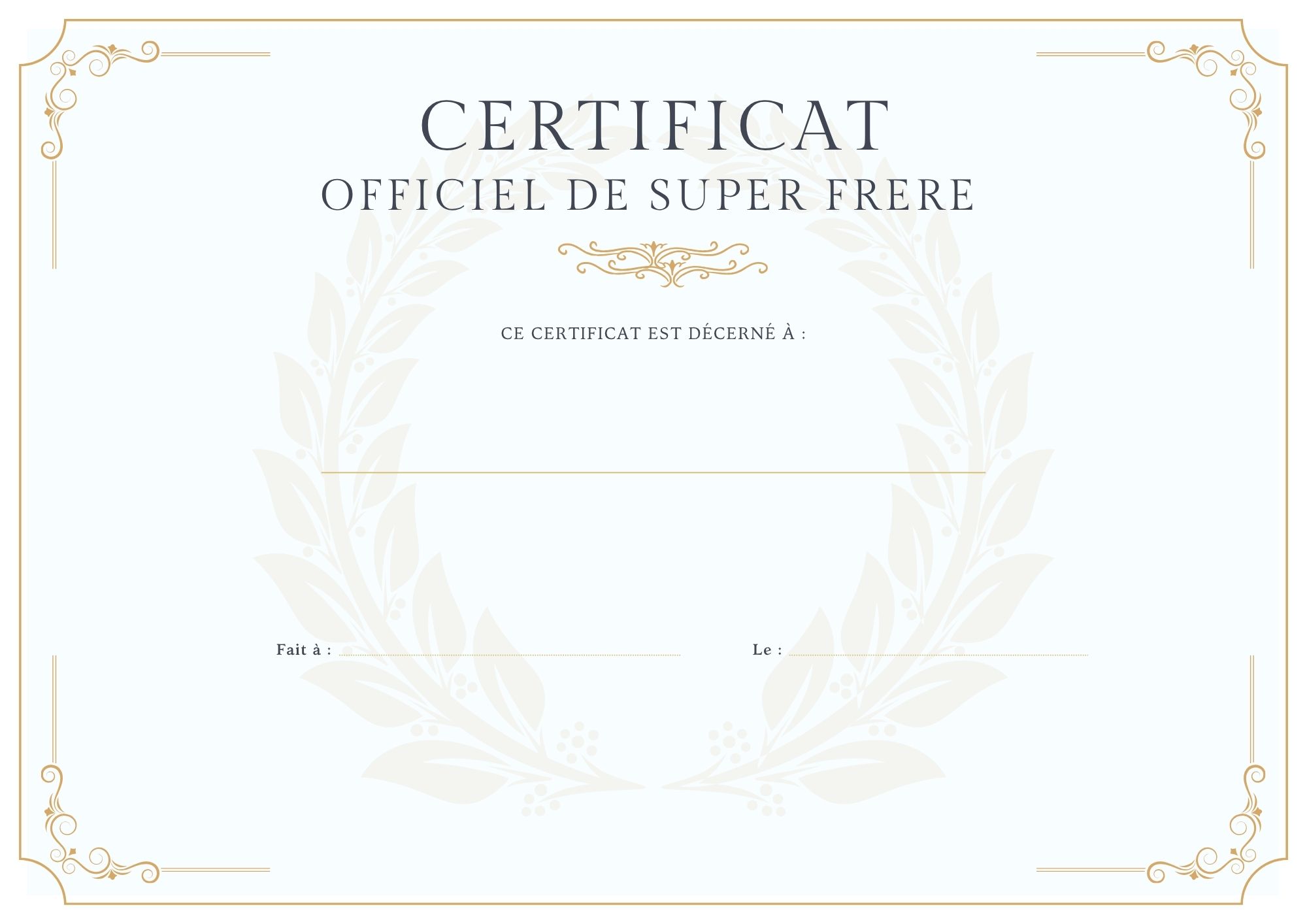 CERTIFICAT OFFICIEL DE MEILLEUR FRERE à imprimer PDF